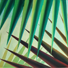 Tomek Kopcewicz, Untitled z cyklu Following the Sun, 40 x 50 cm, olej na płótnie, 2019.jpg